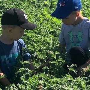 Meet your Posher, Tricia